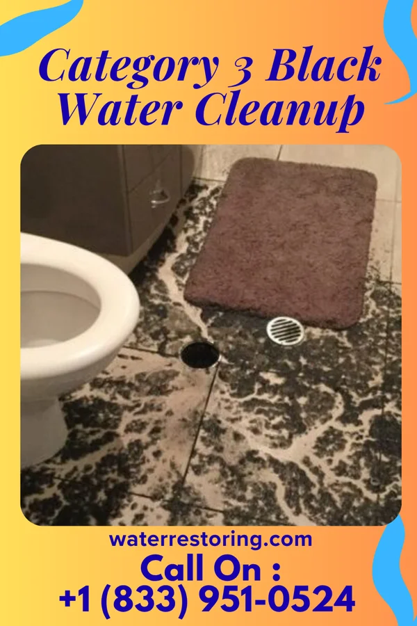 Category 3 Black Water Cleanup in Briartown, OK