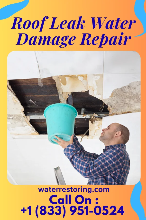 Roof Leak Water Damage Repair in Briartown, OK