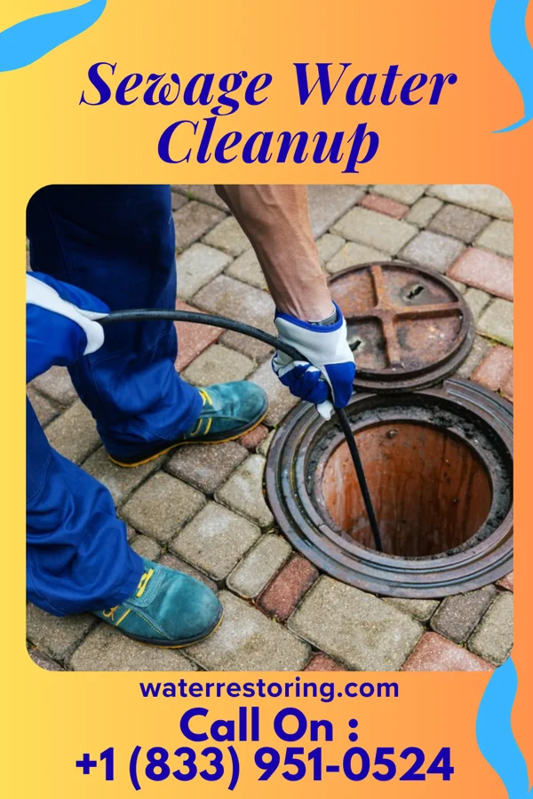 Sewage Water Cleanup in Briartown, OK